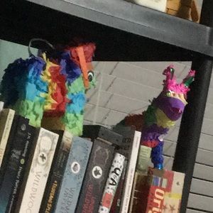 Meet your Posher, Iisabel